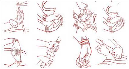 Bergamot vector material 1